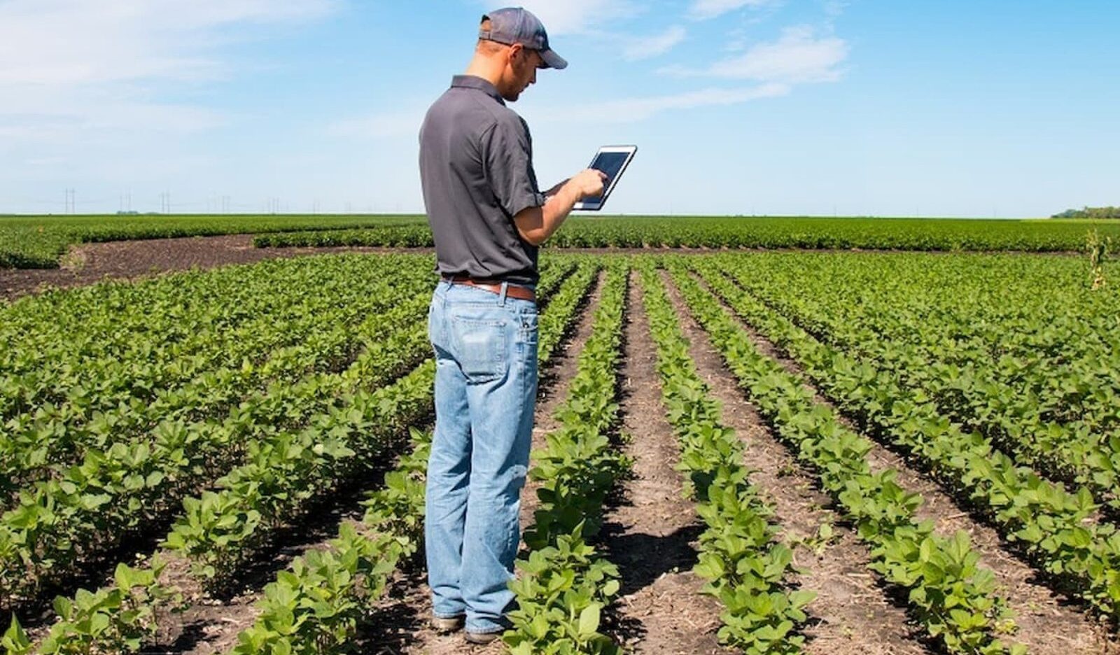 Smart farms — automação e irrigação inteligente